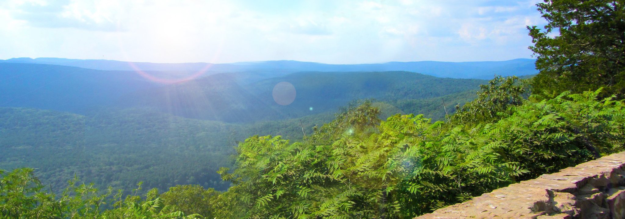 Photo banner of the Ozark national forest.
