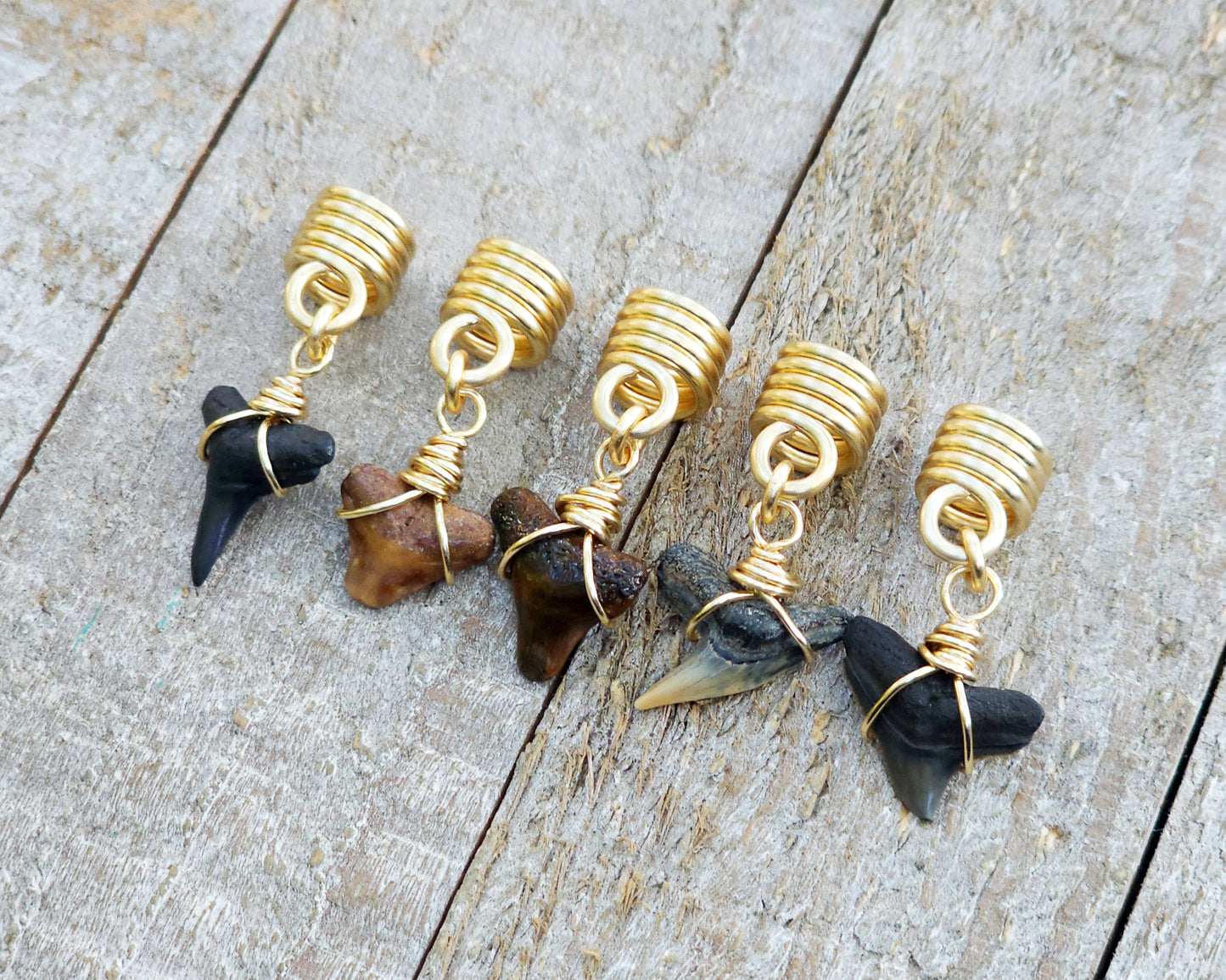 Fossilized Shark Teeth, Set of 5, Hair Jewelry