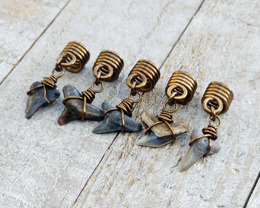 Fossilized Shark Teeth, Set of 5, Hair Jewelry