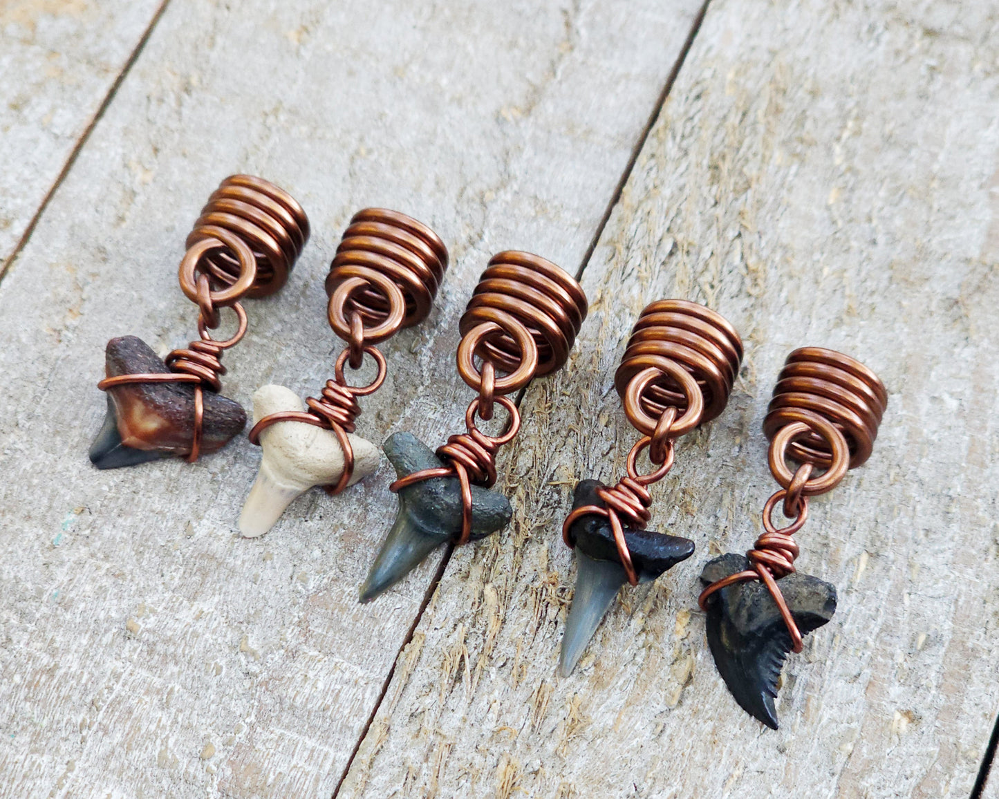 Fossilized Shark Teeth, Set of 5, Hair Jewelry