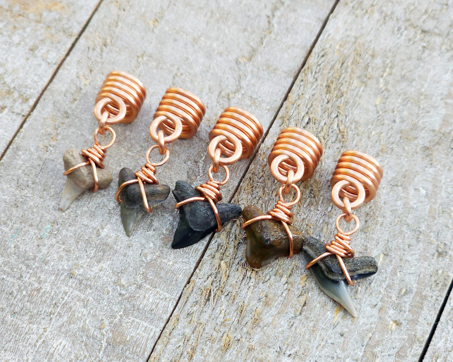 Fossilized Shark Teeth, Set of 5, Hair Jewelry