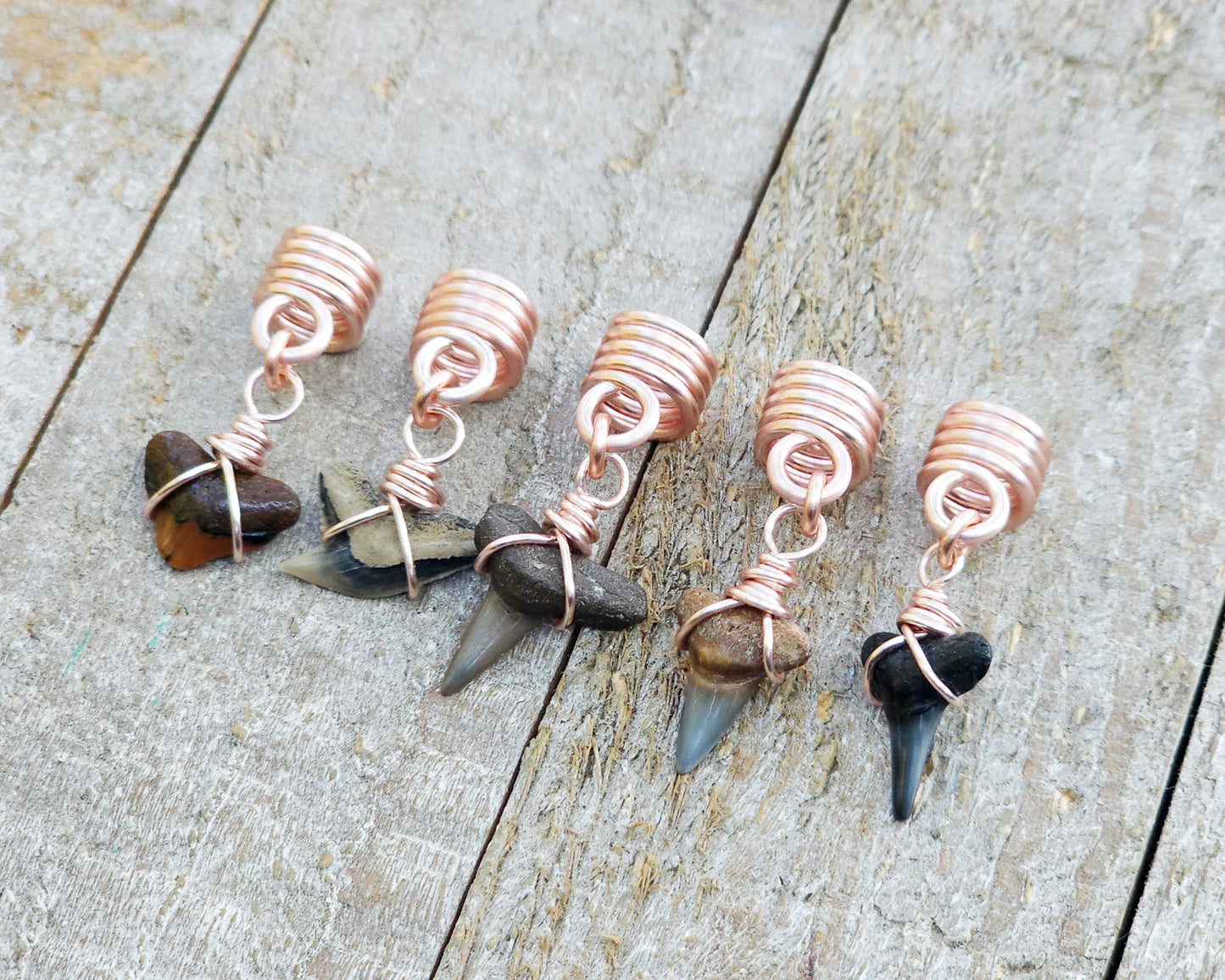 Fossilized Shark Teeth, Set of 5, Hair Jewelry