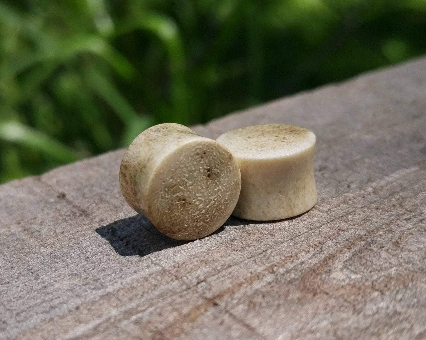 A close up of Handmade Antler Plugs. 