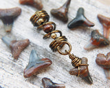 A close up view of a Shark Tooth Dread Bead with Wood Accents.